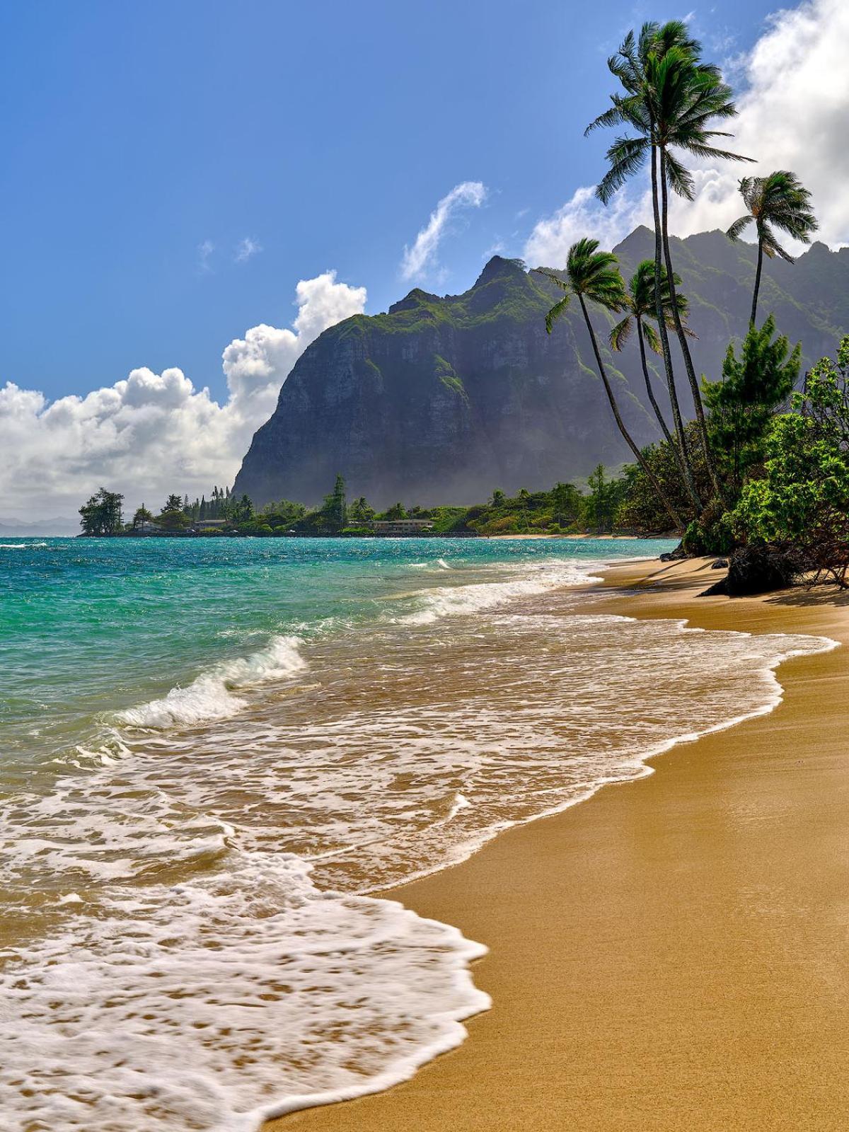 Aparthotel Free Parking Comfy Waikiki
